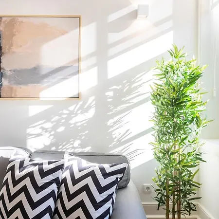 Apartment Bonfim Perfect